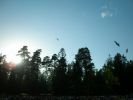 05-22_Siauliu_rajono_dainu_ir_sokiu_svente56.JPG