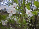 Picture0_046.jpg