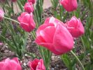 Picture1_049.jpg