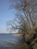Picture_293.jpg