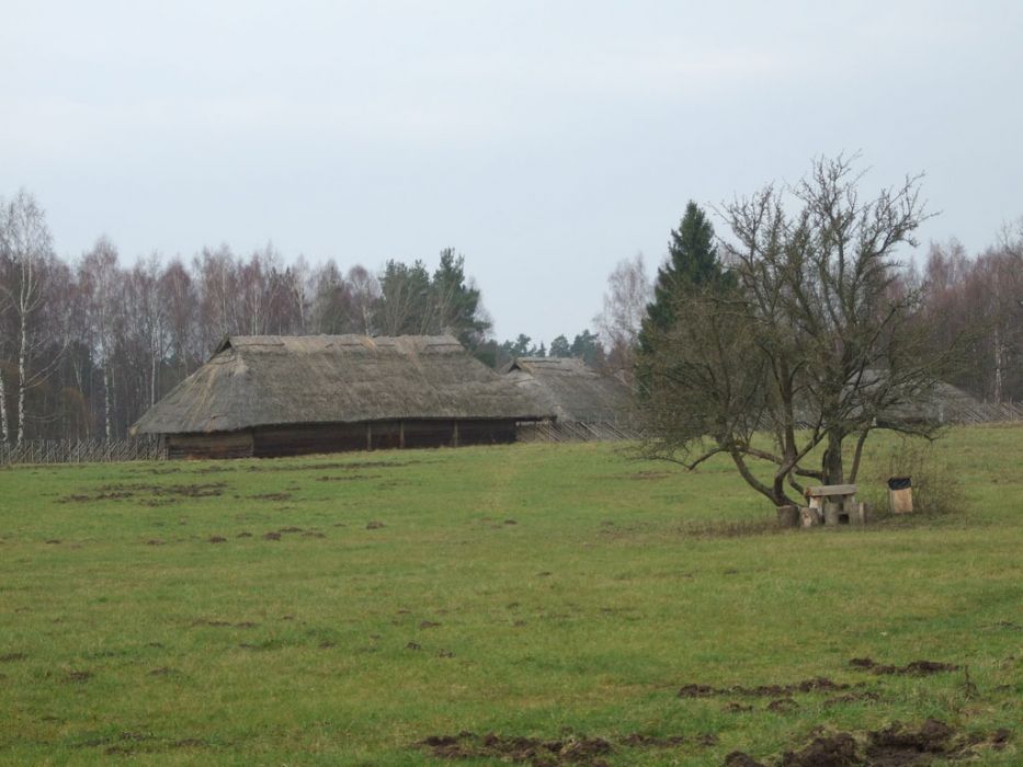 DSCF2179.JPG