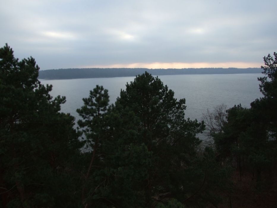 DSCF2234.JPG