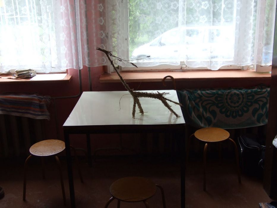 DSCF8822.jpg