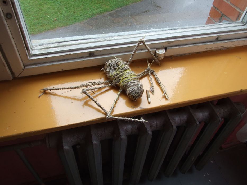 DSCF8831.jpg