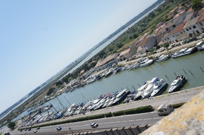 SONY DSC
