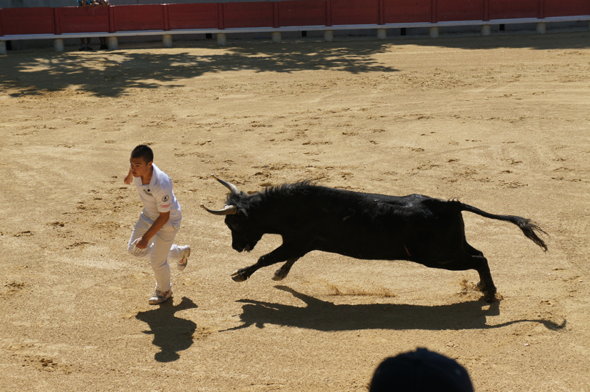 SONY DSC
