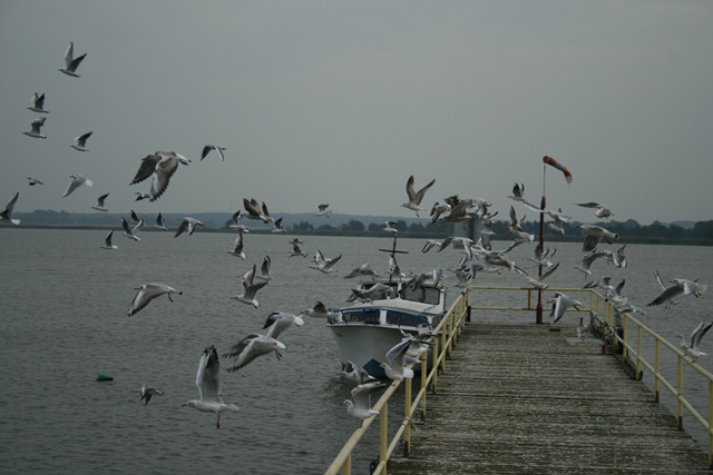 IMG_0553.JPG