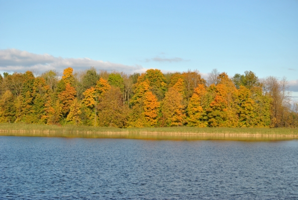 DSC_0155.JPG