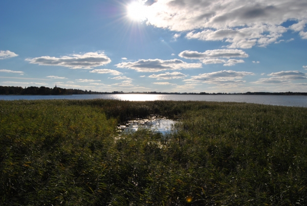 DSC_0159.JPG