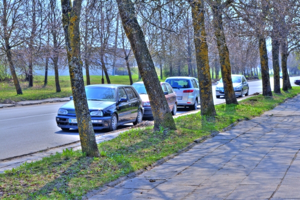 IMGP6441_tonemapped.jpg