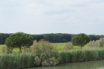 DSC01177.JPG