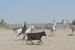 DSC01207.JPG