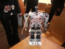 DSCF5641.jpg