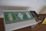DSC_0124~3.JPG