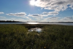 DSC_0159.JPG