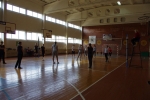 IMGP6454~0.JPG