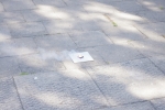 IMGP8164.JPG