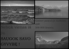 Leidinys2.jpg