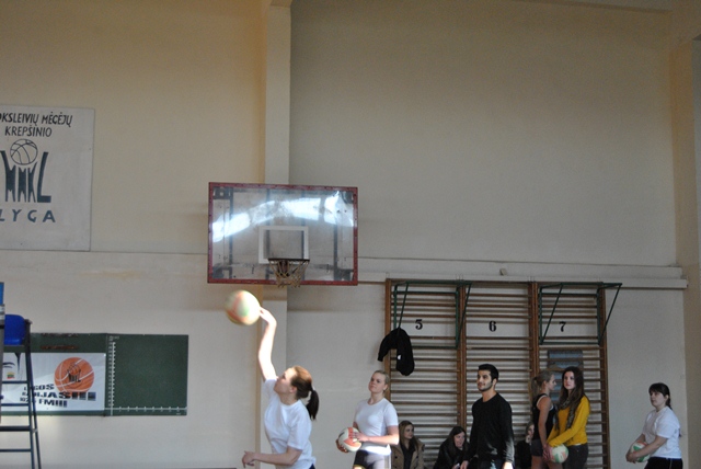 DSC_0772.jpg