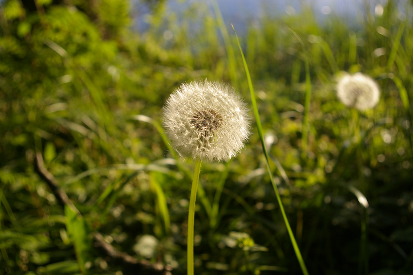 IMGP3589~0.JPG