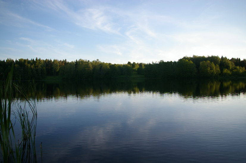 IMGP3598.JPG