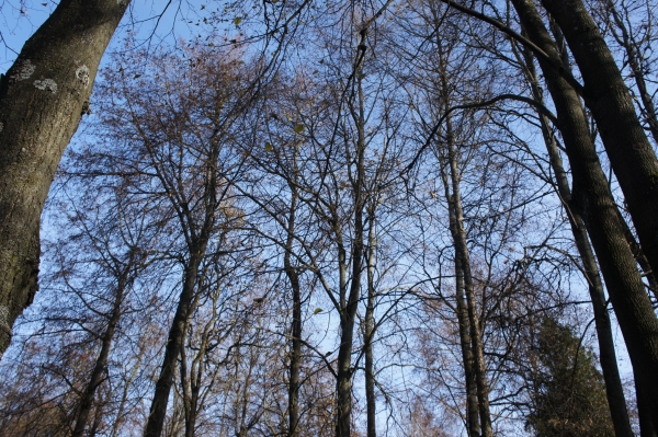 DSC04091.JPG