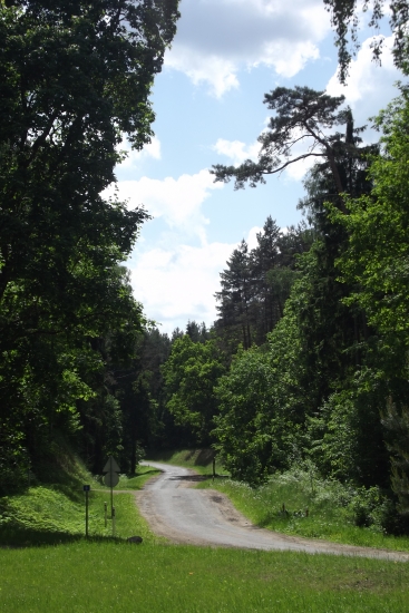 DSCF9162.JPG