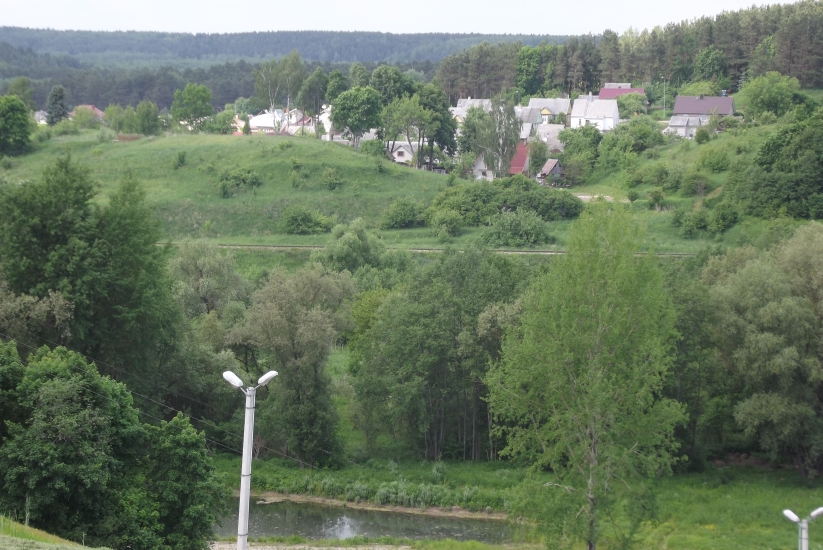 DSCF9217.JPG