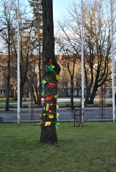 DSC_0418.JPG