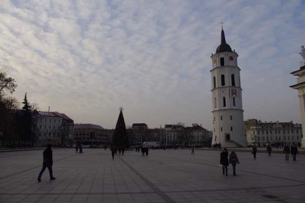IMGP2339.JPG
