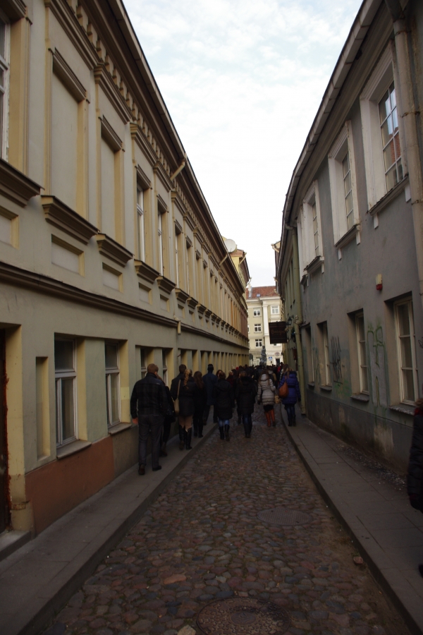 IMGP2364.JPG