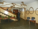 100_0085.JPG