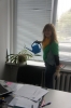 DSC03193.JPG