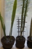 DSC03200.JPG