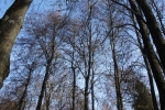 DSC04091.JPG