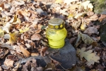 DSC04093.JPG