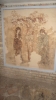 DSC05146.JPG