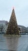DSC05175.JPG
