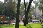 IMGP0216.JPG