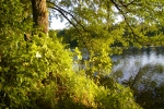 IMGP3579~0.JPG