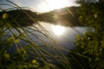IMGP3583.JPG