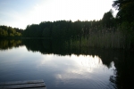 IMGP3596~0.JPG