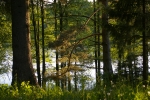 IMGP3611.JPG
