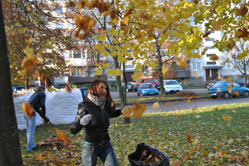 DSC_0053.JPG