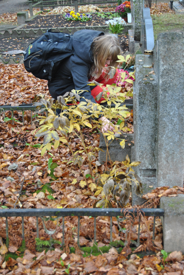 DSC_0309.JPG
