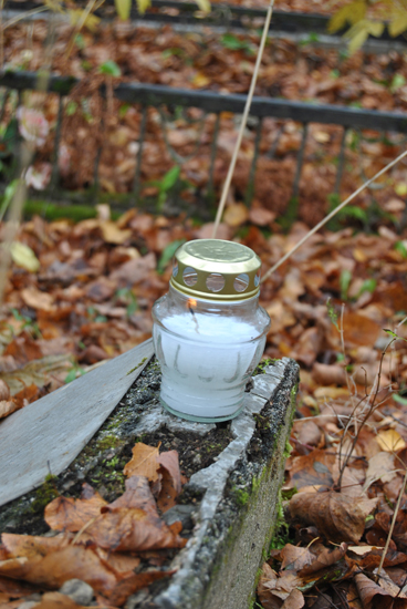 DSC_0317~0.JPG