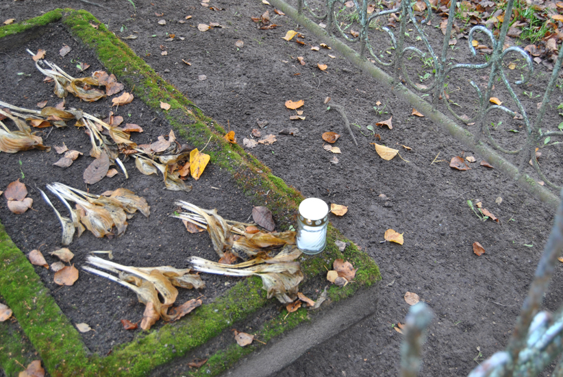 DSC_0338.JPG