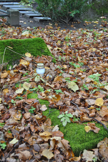DSC_0375.JPG
