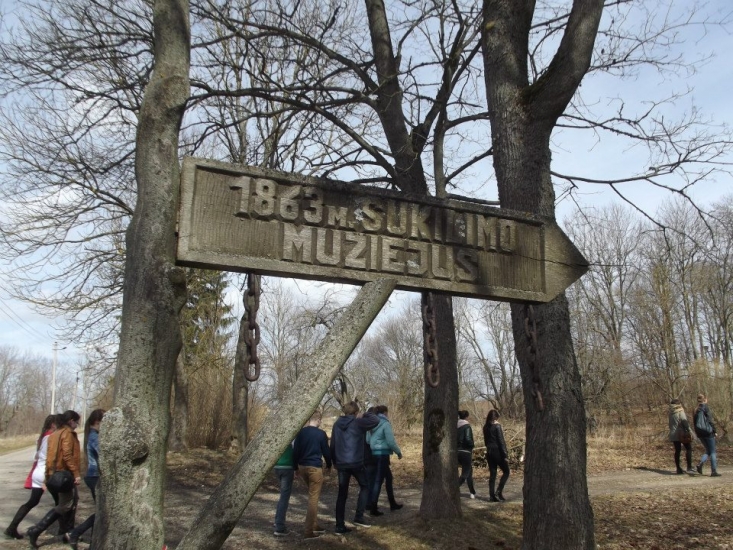 1s_281229.jpg