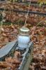 DSC_0317~0.JPG